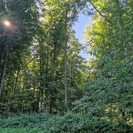 Nanas-auszeit Apartment